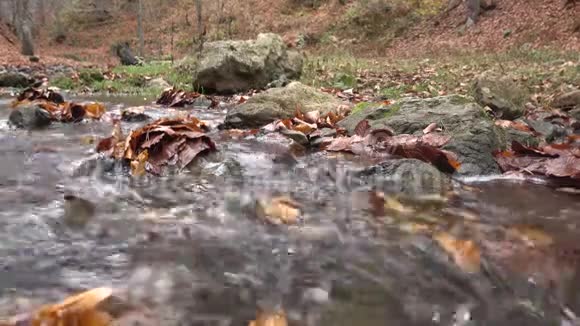 秋天瀑布和溪流视频的预览图