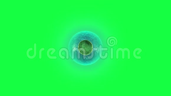 绿色背景下的细胞分裂视频的预览图