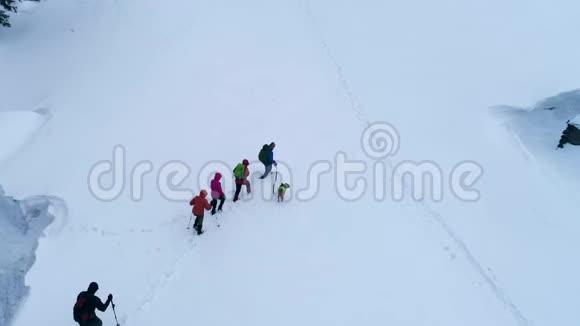 冬天在山上徒步旅行的游客视频的预览图