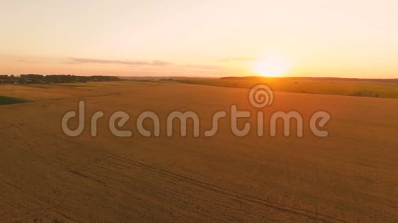 日落时鸟瞰风景如画的麦田4K视频的预览图