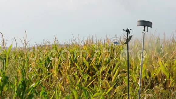 给玉米种植园浇水灌溉密切视频的预览图
