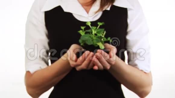 手里拿着植物的女人视频的预览图