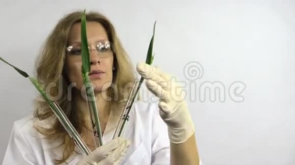 转基因植物的研究视频的预览图