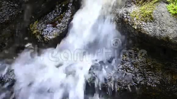 自然保护区的小瀑布视频的预览图