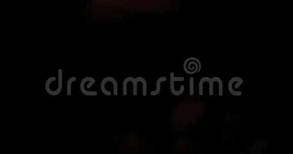 在黑色背景上用暖光运动漏光薄膜过渡视频的预览图