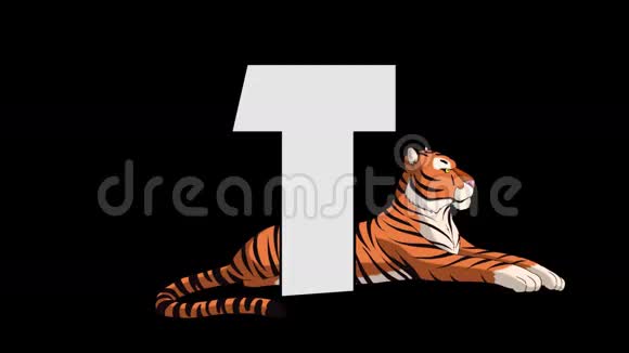 字母T和老虎背景视频的预览图