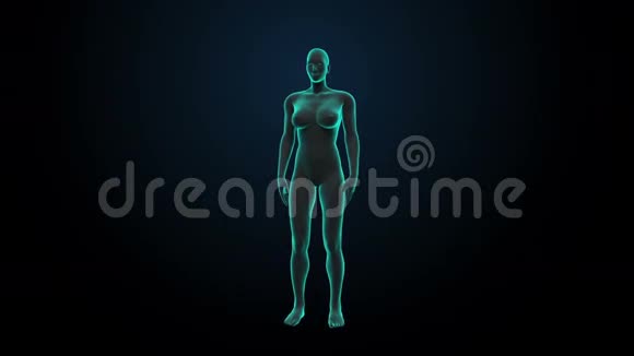 放大女性身体和扫描人眼系统蓝色X光灯视频的预览图
