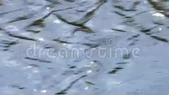 水波反射背景视频的预览图