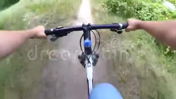 自行车方向盘小路森林树木视频的预览图