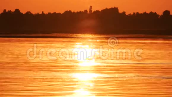 清晨的阳光反射在清澈的水面上视频的预览图