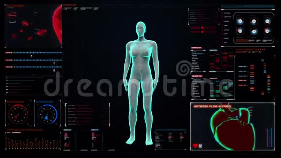 在数字显示仪表板上扫描女性身体的血管X光透视视频的预览图