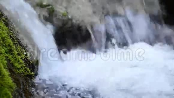 自然保护区的小瀑布视频的预览图