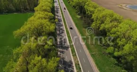 森林道路的空中飞行视频的预览图