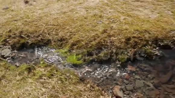 冰岛的淡水流视频的预览图