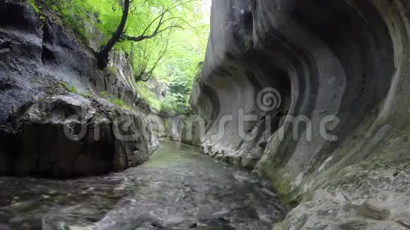 河流在一个狂野的峡谷中流淌视频的预览图