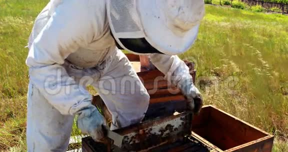 养蜂人从蜂窝中移除木架视频的预览图