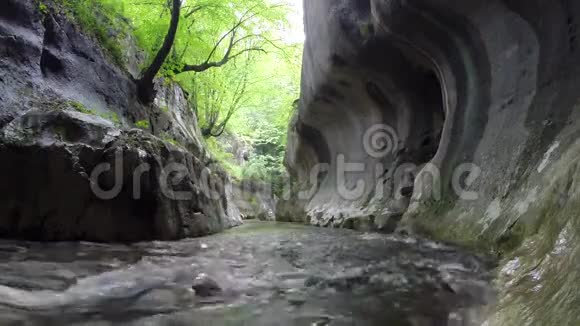 河流在一个狂野的峡谷中流淌视频的预览图