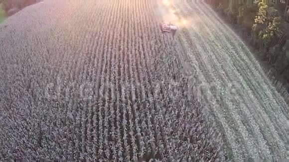 在日落时分收获一片玉米地视频的预览图