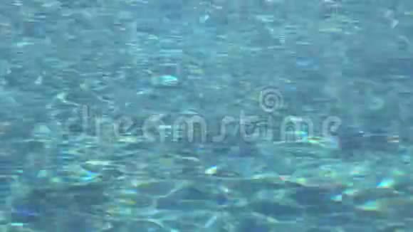 泳池表面有清水蓝水视频的预览图
