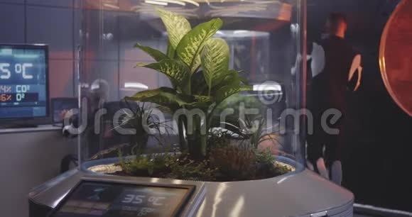 从事植物培养的男性科学家视频的预览图