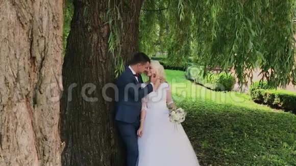 新婚快乐在公园拥抱亲吻视频的预览图