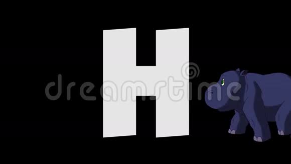 字母H和河马前景视频的预览图