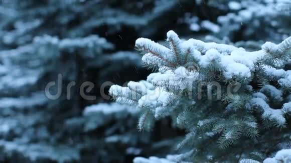 降雪视频的预览图