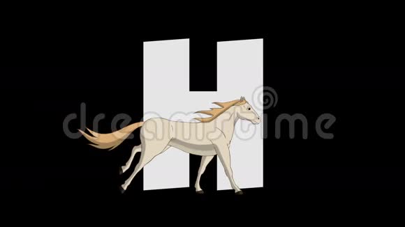 字母H和马前景视频的预览图