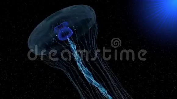 星际天空中的蓝色水母视频的预览图