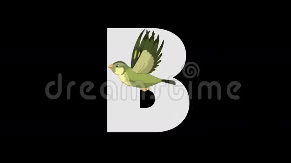 字母B和鸟前景视频的预览图