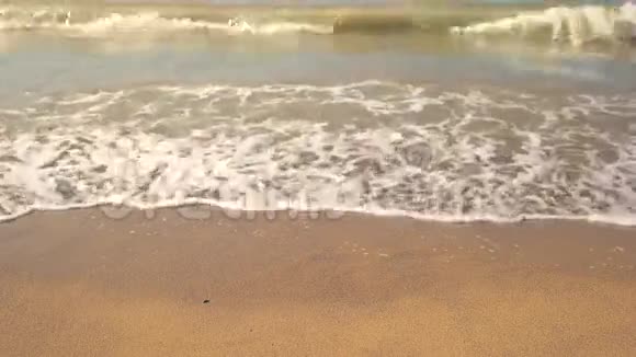 岸上的小浪视频的预览图