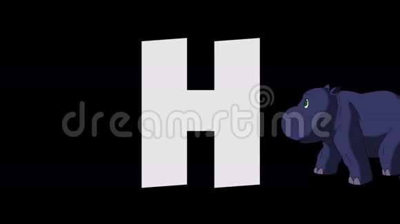 字母H和河马背景视频的预览图