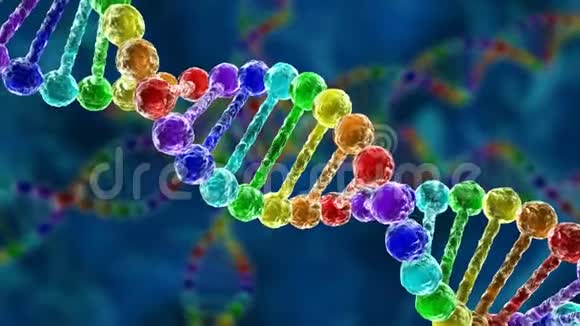 DNA脱氧核糖核酸DNA动画视频的预览图