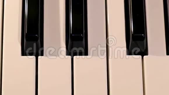 从钢琴键盘上飞过视频的预览图
