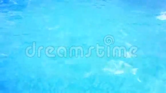一个人在有蓝色水的游泳池里在水下游泳从上面看视频的预览图