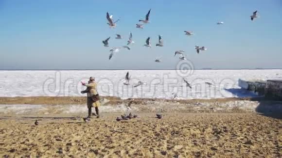 女人为饥饿的海鸥飞翔在冰封的海面上慢动作视频的预览图