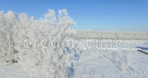 空中冬天森林里的早晨冰封的桦树冬野霜冻蓝天视频的预览图