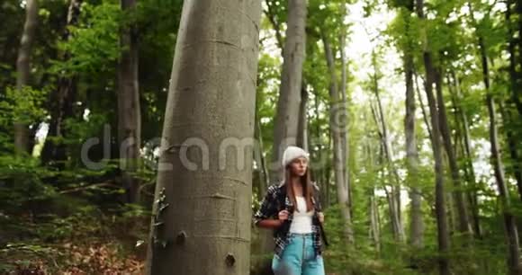 带背包的女游客在森林里散步视频的预览图