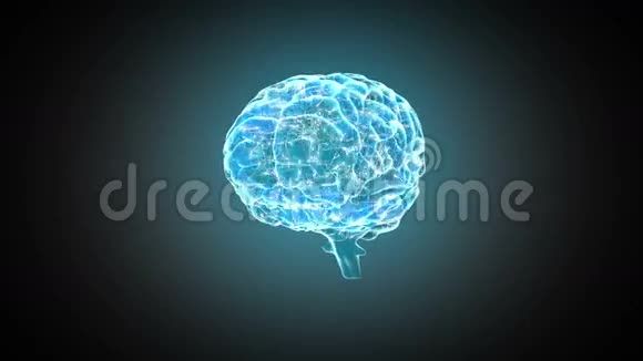 大脑在蓝色背景上旋转视频的预览图