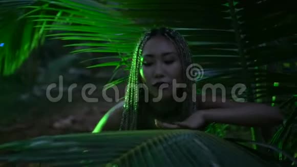 丛林中的美女视频的预览图
