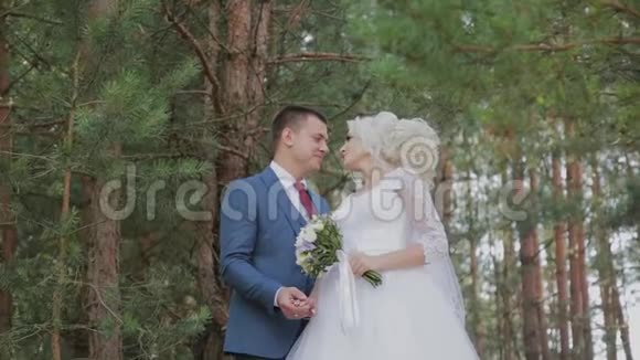 非常漂亮的新娘和新郎在森林里牵手拥抱视频的预览图