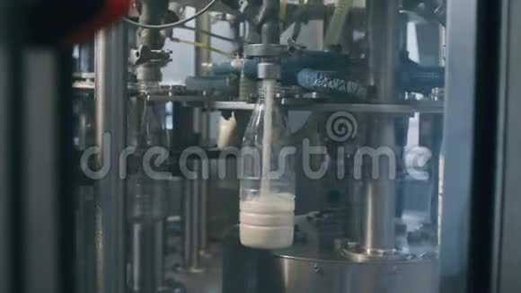 在一家牛奶厂用于将乳制品倒入塑料瓶的输送线在慢速中以全HD分辨率进行A视频的预览图