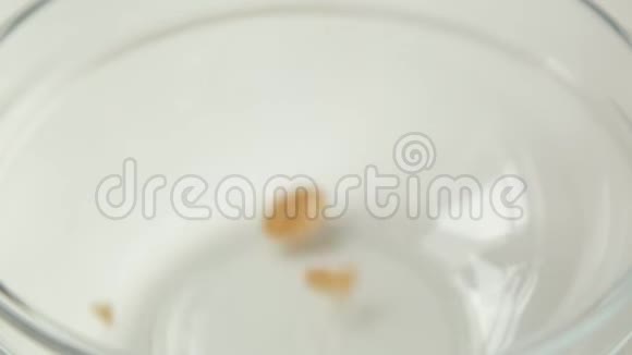 早餐吃格兰诺拉在碗里做饭视频的预览图