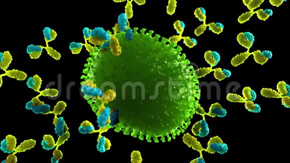 攻击病毒的抗体视频的预览图