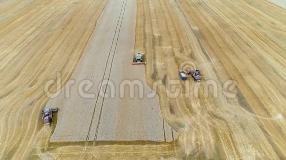 农业综合利用大田收割小麦视频的预览图
