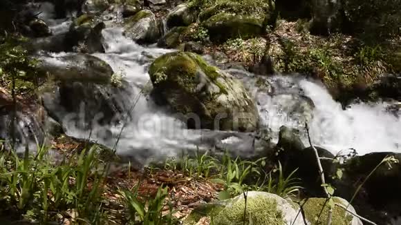 宁静的森林小河流瀑布落在岩石上视频的预览图