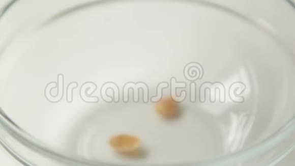 早餐吃格兰诺拉在碗里做饭视频的预览图