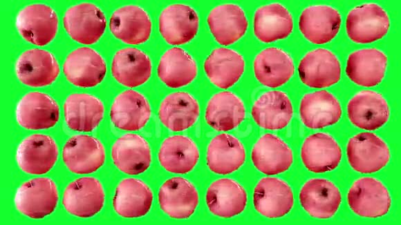 带水滴的红苹果在绿色屏幕上旋转水果背景视频的预览图