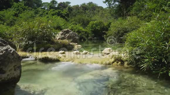 雨林里的河流视频的预览图