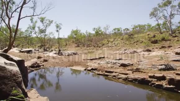 树木和有岩石的河流视频的预览图